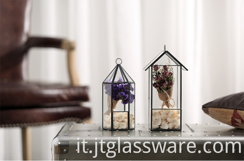 Geometric Glass terrarium 